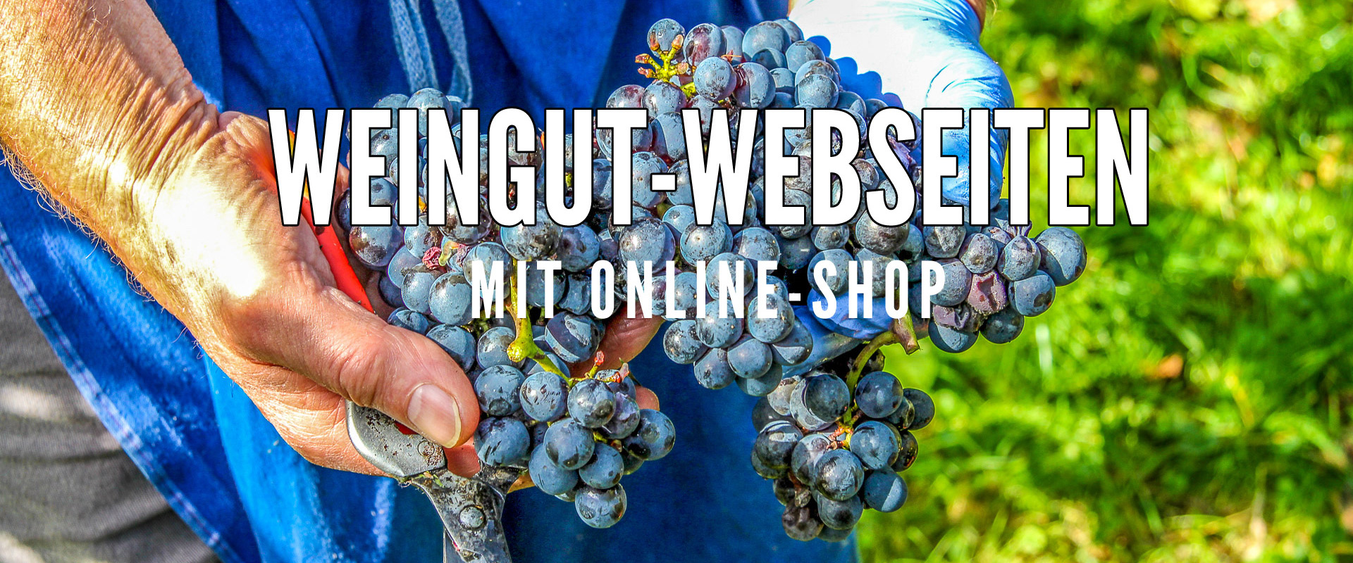 Weingut-Webseiten mit Online-Shop