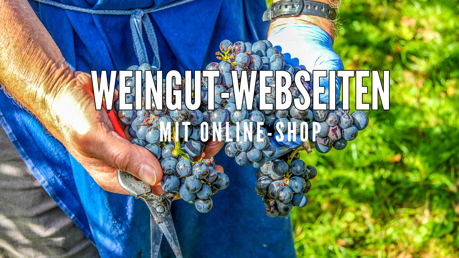 LR-8397-txt2 Weinguts Webseiten mit Shop erweitern die Möglichkeiten für Winzerinnen und Winzer, aber auch für Kunden.