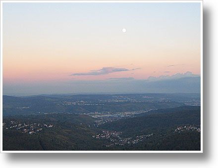 Großstadt zwischen Wald und Reben