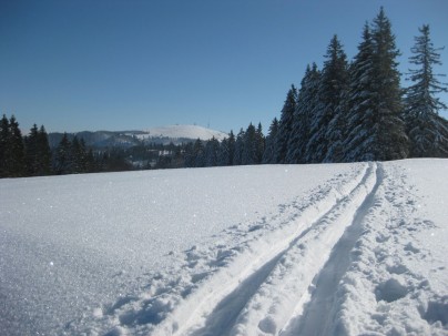 Schwarzwald-Wochenende im Schnee