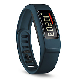 Garmin Vivofit 2